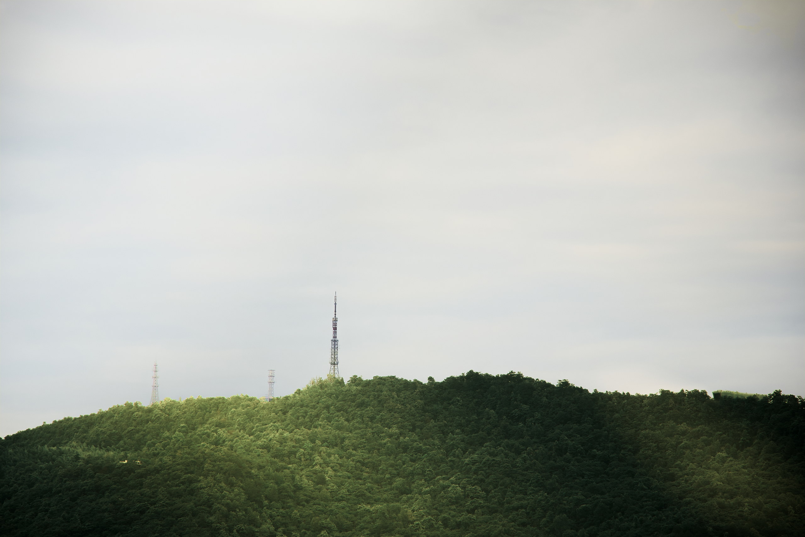 GREEN 摄影主图